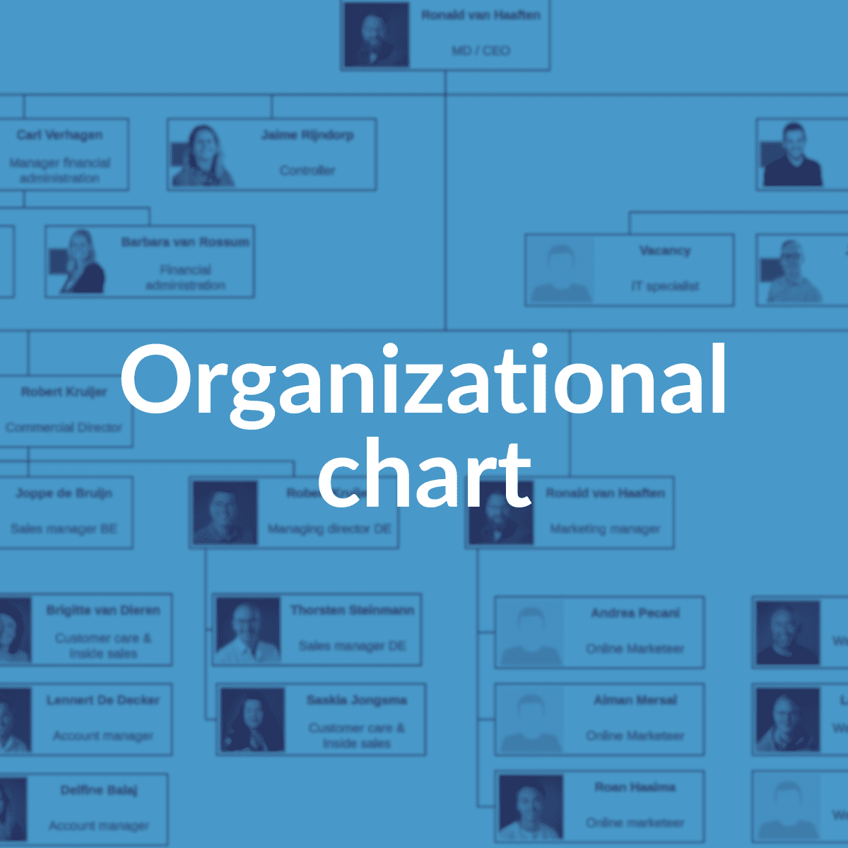 Afbeelding voor categorie Organogram